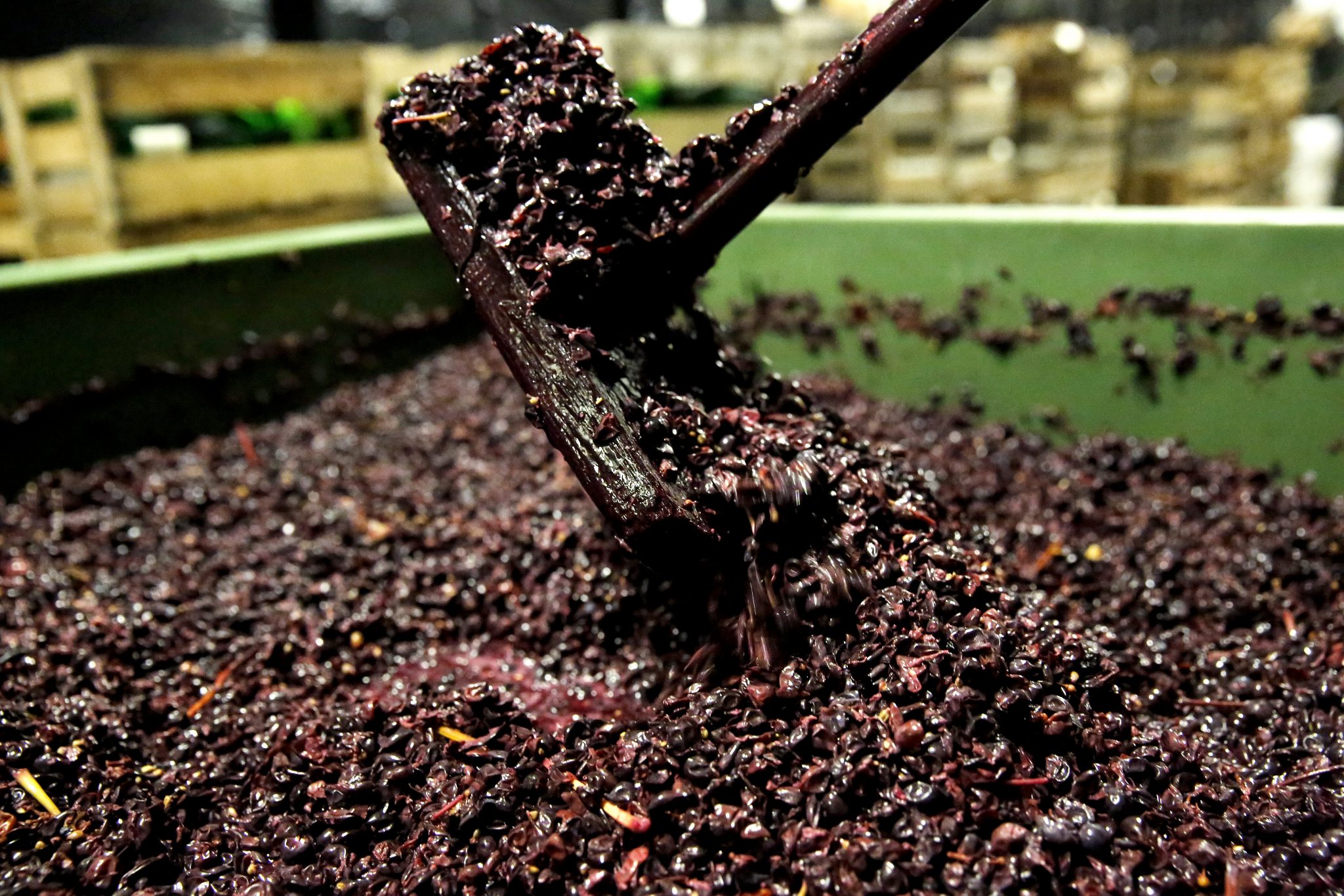 Weinberg & Keller Weingut Margarethenhof Forst